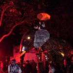 Transhumance de nuit : l'éléphant